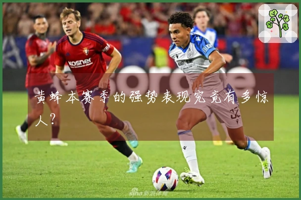 黄蜂本赛季的强势表现究竟有多惊人？
